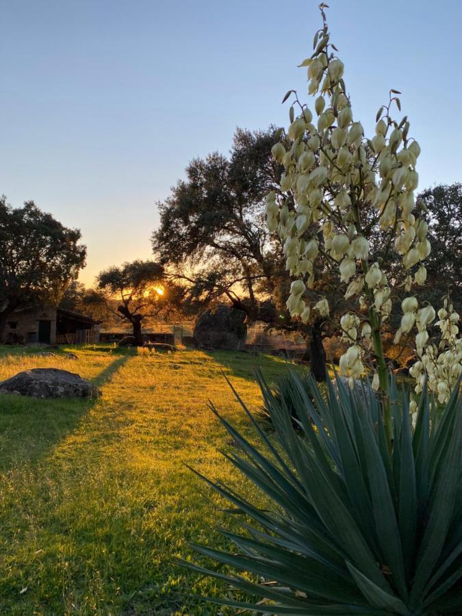Vila Lidenex Guijo de Granadilla Exteriér fotografie