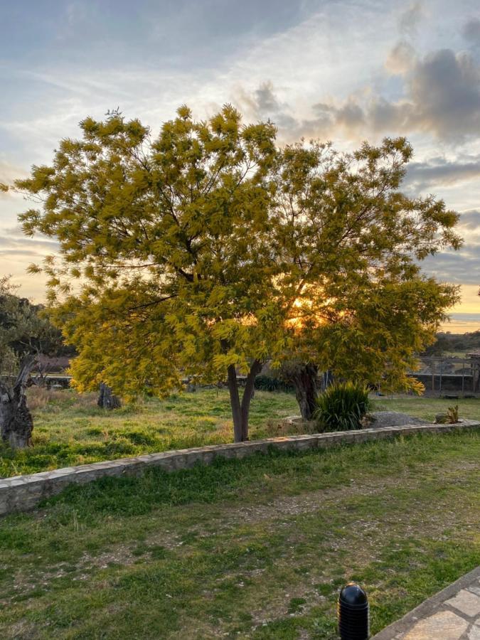 Vila Lidenex Guijo de Granadilla Exteriér fotografie